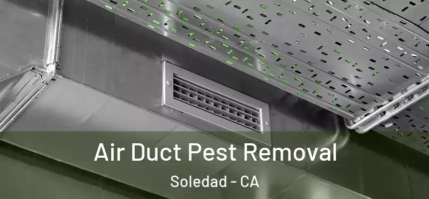 Air Duct Pest Removal Soledad - CA
