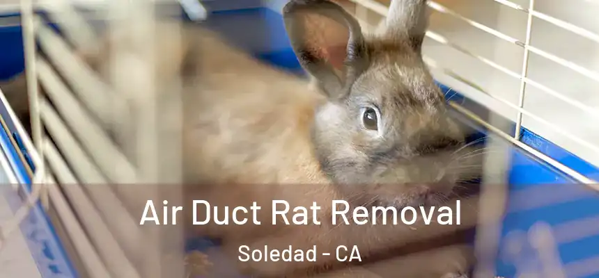 Air Duct Rat Removal Soledad - CA