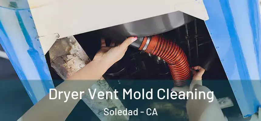  Dryer Vent Mold Cleaning Soledad - CA