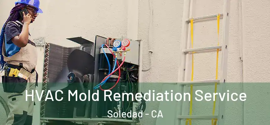 HVAC Mold Remediation Service Soledad - CA