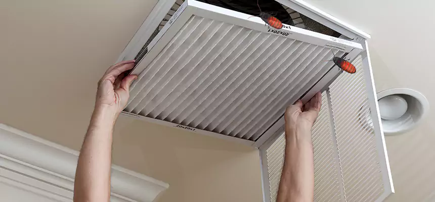 Preventive Cockroach-Proofing for Ducts in Soledad