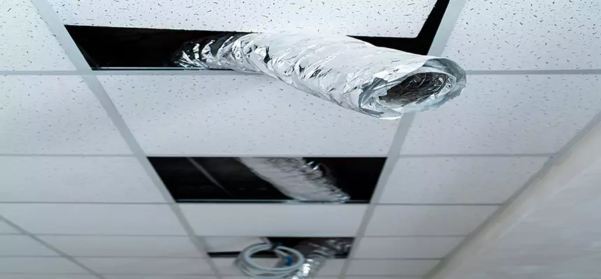 Our Air Duct Pet Hair Removal Services in Soledad, CA