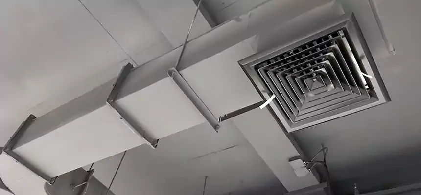 Restorative Allergy Relief Vent Cleaning – Coil, Blower & Housing Detail in Soledad