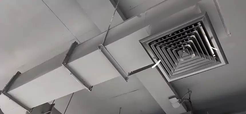 Our Pest Removal From Ducts Services in Soledad, CA