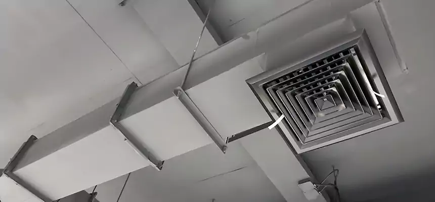 Our Rodent Droppings In Vents Services in Soledad, CA