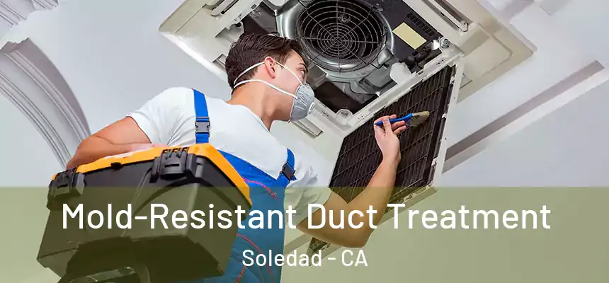  Mold-Resistant Duct Treatment Soledad - CA