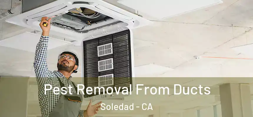  Pest Removal From Ducts Soledad - CA