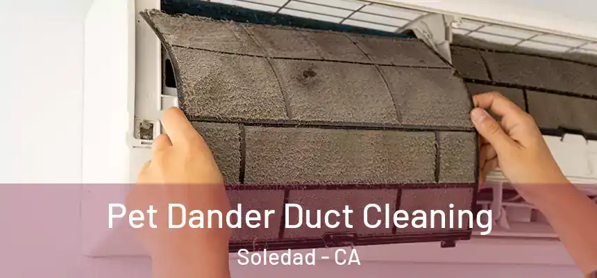 Pet Dander Duct Cleaning Soledad - CA