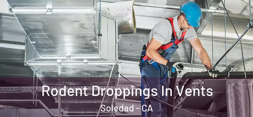 Rodent Droppings In Vents Soledad - CA