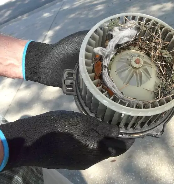 About Air Duct Mice Removal in Soledad, CA