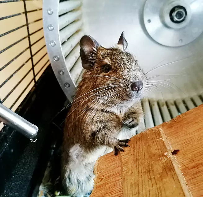 Why Homeowners & Businesses Trust Us Soledad, CA