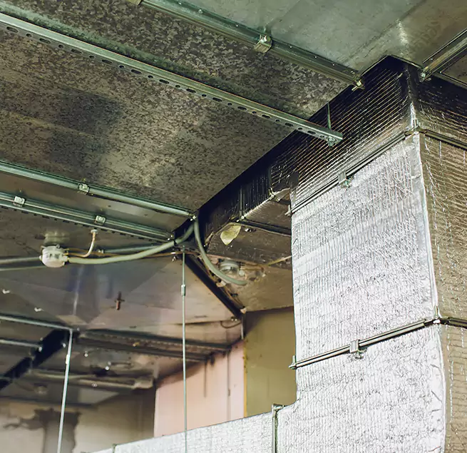 Why Homeowners & Businesses Trust Us in Soledad, CA?